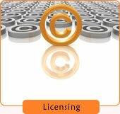 Open Source License